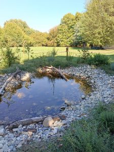 Scopri di più sull'articolo Paderno Dugnano, la formazione docenti del progetto “aGREENment” riparte dall’Aula Natura
