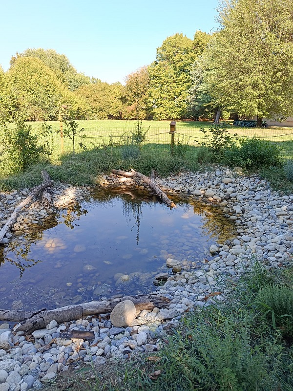 Scopri di più sull'articolo Paderno Dugnano, la formazione docenti del progetto “aGREENment” riparte dall’Aula Natura