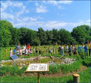 Scopri di più sull'articolo Paderno Dugnano, al via l’Aula Natura: il progetto “aGREENment” porta scienza e ambiente nelle scuole