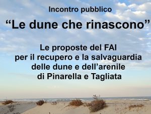 Scopri di più sull'articolo Cervia, ambiente e territorio: “Le dune che rinascono”, il piano FAI per la tutela delle spiagge di Pinarella e Tagliata
