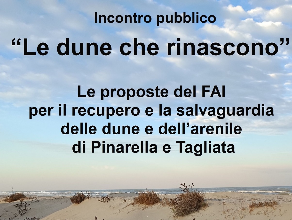 Al momento stai visualizzando Cervia, ambiente e territorio: “Le dune che rinascono”, il piano FAI per la tutela delle spiagge di Pinarella e Tagliata